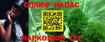 мяу мяу мука Малоярославец